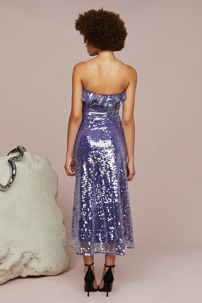 Braeylnn Mesh Sequin Midi