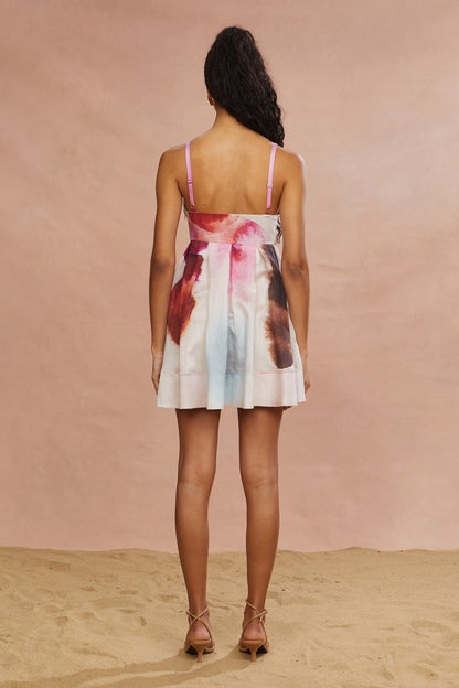 Allison Printed Mini Dress
